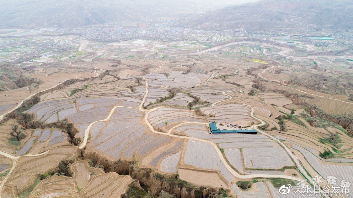 dy24小时自助涨业务：自媒体运营技巧秘籍助你高效涨粉爆款打造_半夏涨业务