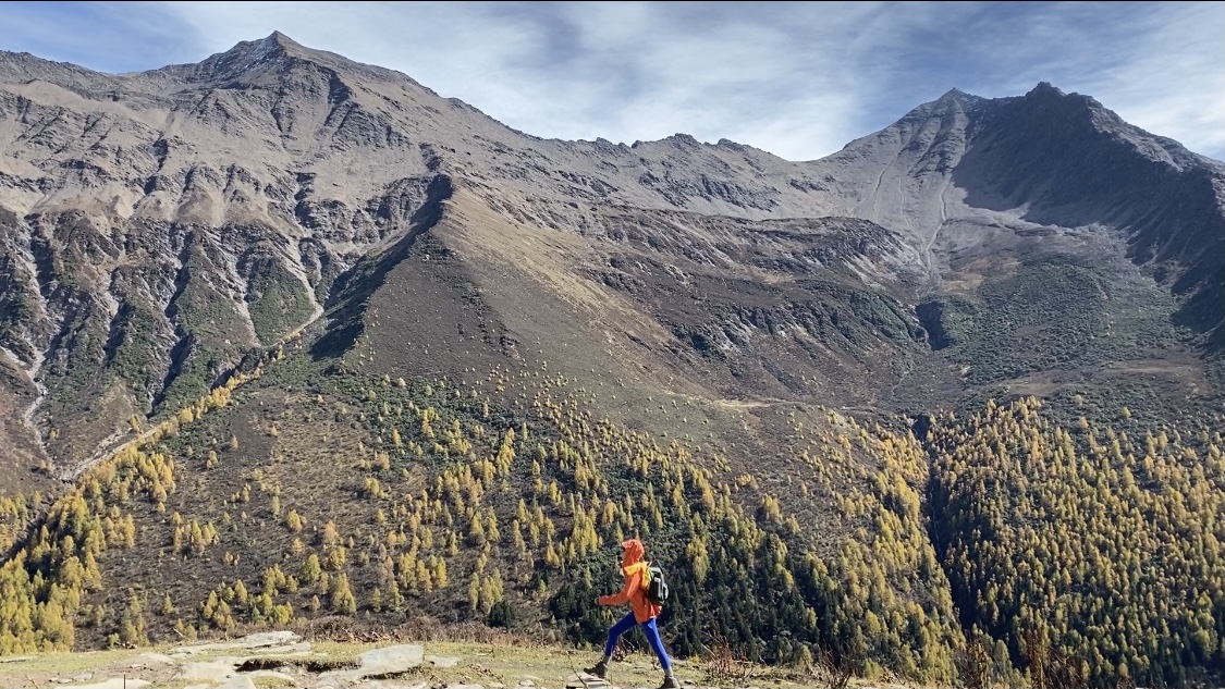 最新图文推广定制化开发您的 OA 系统:虚拟商品自动发放的高效运营工具,dy24h自助下单平台最新：短视频自动下单服务全新上线